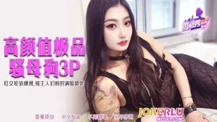 XJX551 肛姦輪姦！主人们輪流猛干到滿臉射精