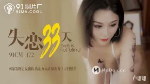 91CM-172 失恋33日