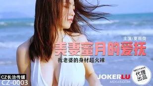 CZ-0003 美妻蜜月の甘美な愛撫