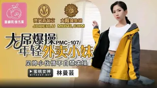 PMC-107 大肉棒で外送美少女をぶっ壊す