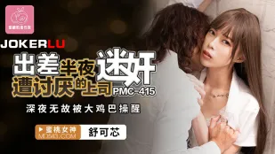 PMC-415 出張先で嫌いな上司に夜這い　深夜にデカチンポで無理やり起こされる
