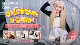 TM0137 麗莎～華奢なメイドの日常調教～