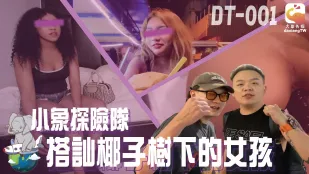 DT-001 小象探險隊 タイ直撃ナイトストリート 各国美女をナンパ即ハメ